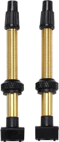 BBB Cycling BTI-159 Tubeless Ventiel