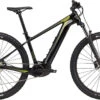 Cannondale Trail Neo 3 2023