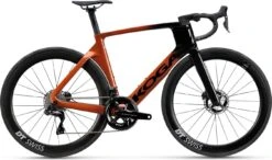 Koga Kinsei Pro 2023