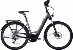 Pegasus Premio EVO 10 Lite Comfort