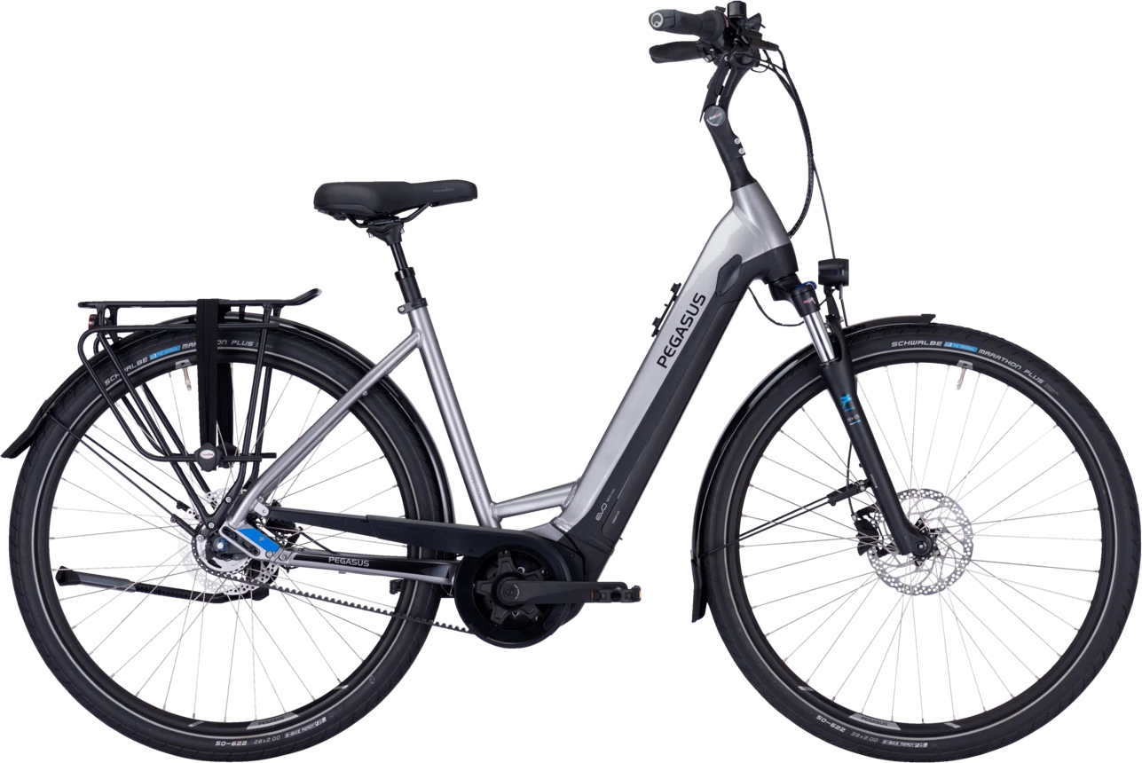 Pegasus Ravenna EVO 5 Belt