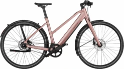 Riese & Müller UBN Seven Silent 2023