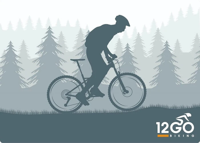 Scott Addict 30 2023