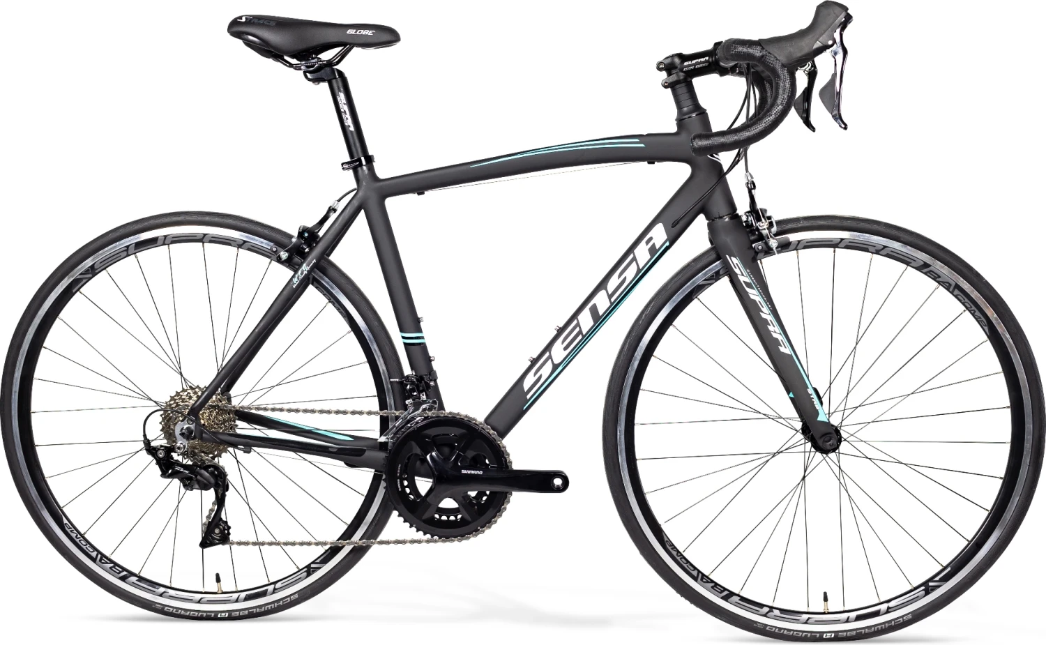 Sensa Latina LTD 105 2022